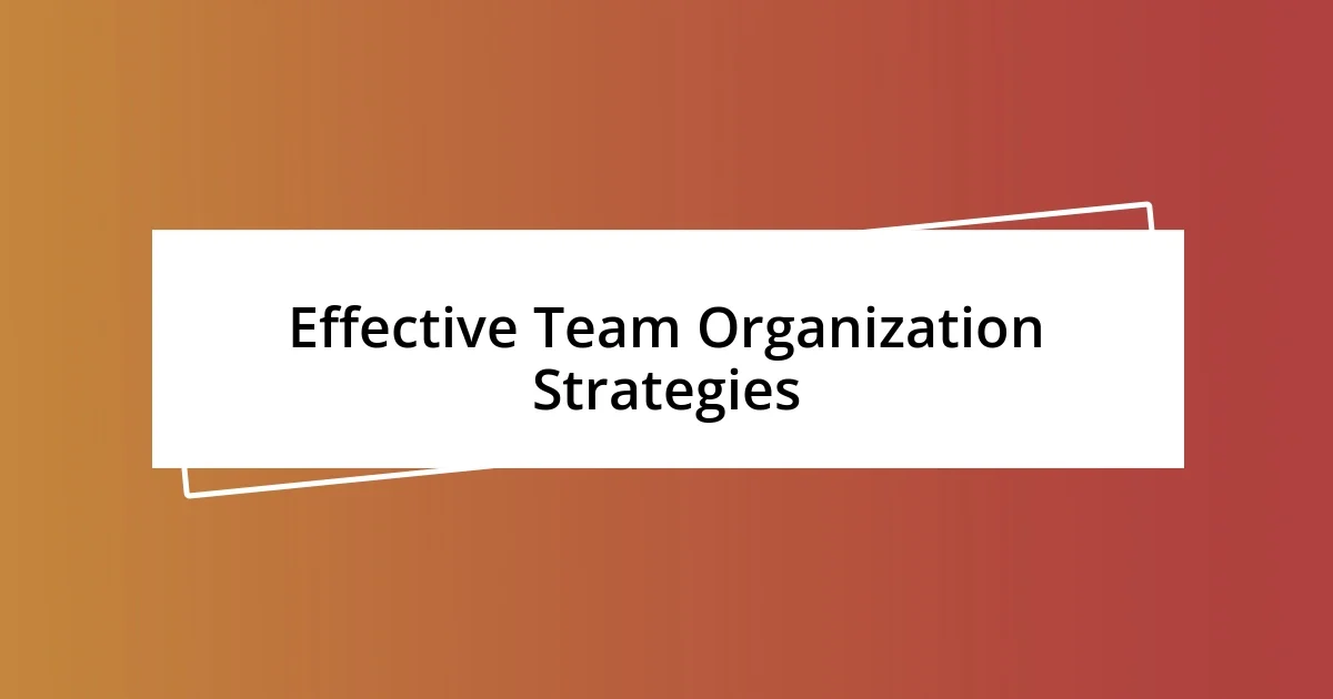 Effective Team Organization Strategies